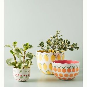 Anthropologie tutti fruit plant pot cherry NWT
